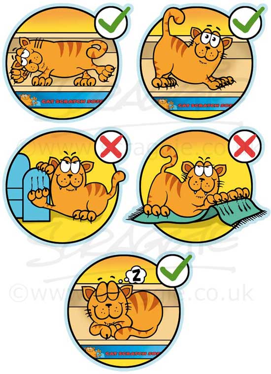 Cartoon cats packaging design