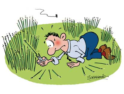 Cartoon gardner