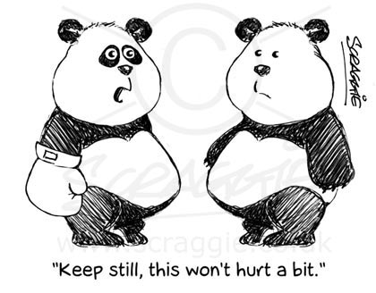 Cartoon pandas