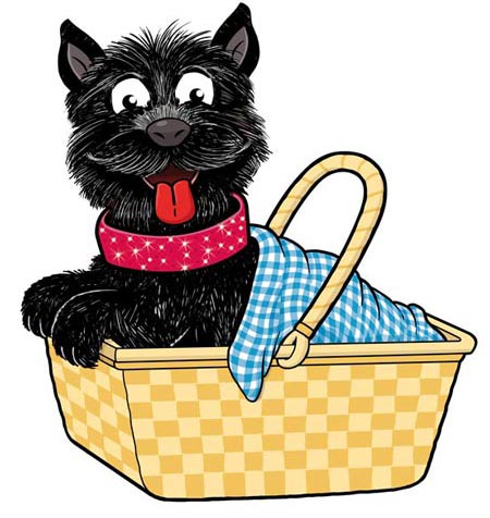 toto