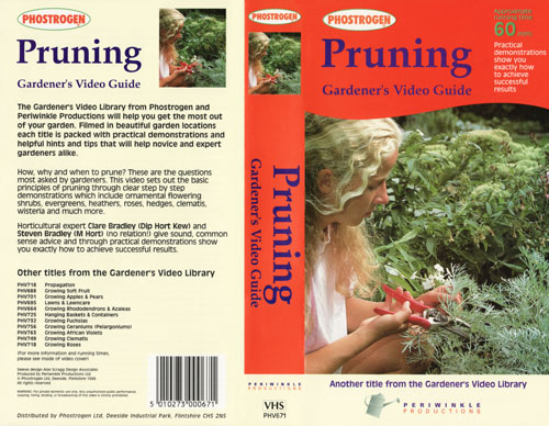 Full colour video cover design