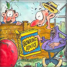 Bowring Flyer - financial services company